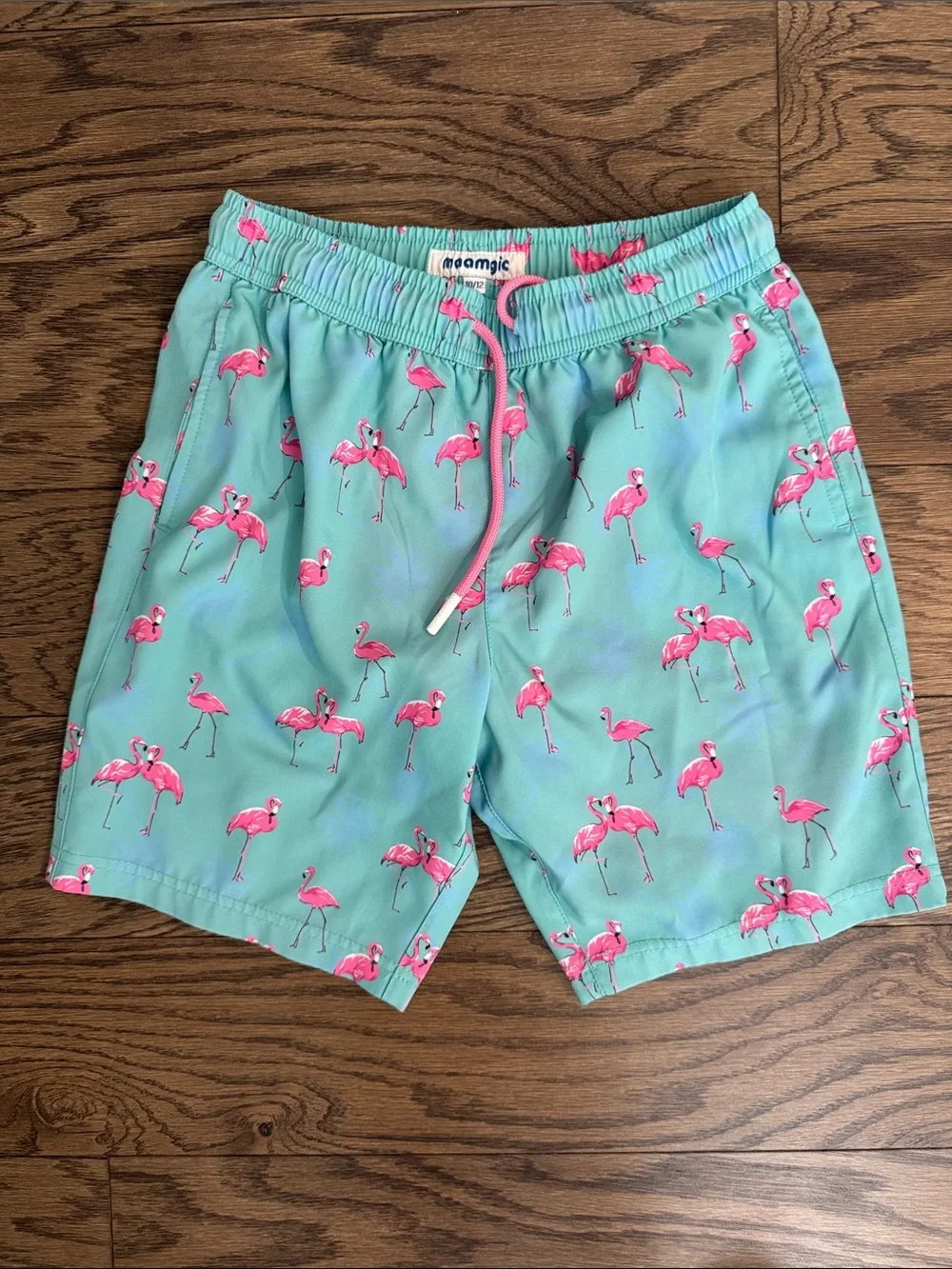 Aqua Flamingo Swim Shorts boys. ~